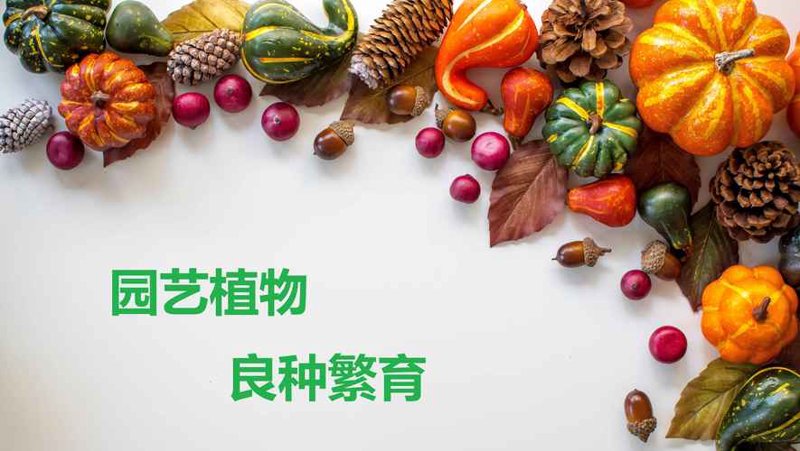 良种繁育